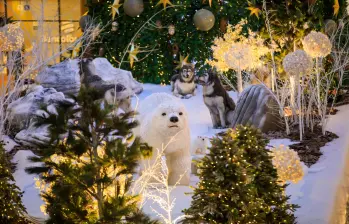 Centro comercial Viva Envigado. Estas iniciativas no solo dinamizan la actividad comercial en uno de los meses más importantes del año, sino que también consolidan a Medellín y su Área Metropolitana, como una de los lugares con mayor espíritu navideño en Colombia Foto: Camilo Suárez Echeverry
