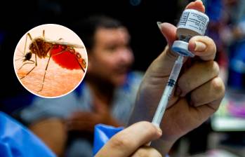 Tolima es el departamento con más casos y muertes por fiebre amarilla. FOTOS: Julio César Herrera y Colprensa