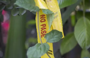 El triple homicidio ocurrió en la vereda Santa Ana, en Abejorral. FOTO: Edwin Bustamante Restrepo