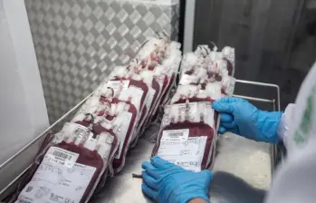 La sangre que se desarrolla en Japón es morada, a diferencia del color rojo de la sangre real. Foto: Andrés Camilo Suárez