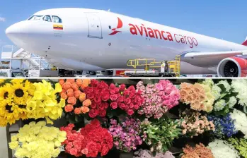 Un arduo trabajo realizó Avianca Cargo luego de transportar 330 millones de flores colombianas y ecuatorianas a Estados Unidos. FOTO: Avianca Cargo - EL COLOMBIANO