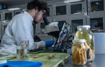 1.270 especímenes pertenecientes a 183 especies hacen parte de esta biblioteca genética. FOTO: Grupo de Ictiología de la Universidad de Antioquia. 