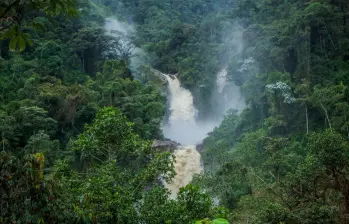 Vista de los Chorros de Tapartó. Foto: Cristina Rodríguez.