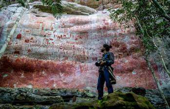 Los pictogramas en la Serranía de Chiribiquete representan animales que hoy ya no existen. FOTO: Juan Antonio Sánchez