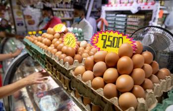 En Colombia se consumen al día 48 millones de huevos. FOTO: Carlos Velásquez