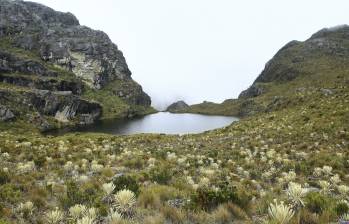 El páramo de Santurbán aún no tiene actualizada su delimitación: la medida tiene que ver con una reserva temporal en los alrededores del páramo. FOTO: Colprensa