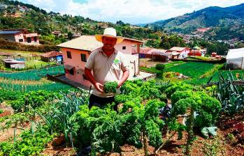 Cristian Ríos promueve el trabajo del campesino con nuevas tecnologías y métodos de riego que permiten reducir los efectos del Fenómeno del Niño. FOTOS Julio César Herrera