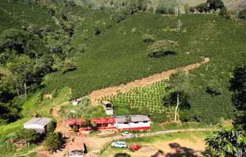 Cinco Appa de la reforma agraria de Petro serán derogadas por el Gobierno de Abelardo de la Espriella. Foto: El Colombiano