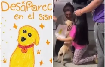 Con un lápiz y una hoja de papel, una niña en Cali trazó el rostro de Bruno, su perro, quien huyó desorientado durante el terremoto que afectó a la ciudad. FOTO: Captura de video de redes sociales @fundaciongloriamariana y @soylorenarosero