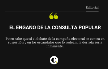 El engaño de la consulta popular