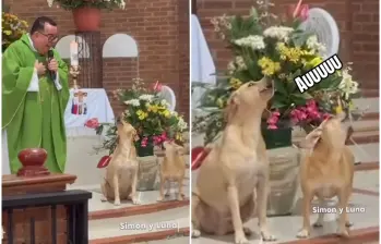 Una escena inusual quedó registrada en video durante una eucaristía oficiada por el padre Carlos Mario Peña Lopera en Villavicencio. FOTO: Captura de video de redes sociales @padrecarlosmariobendito