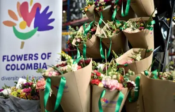 Las flores colombianas perderían US$250 millones por el arancel de Donald Trump. FOTOS: COLPRENSA