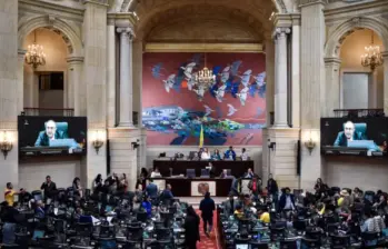 La Cámara de Representantes está compuesta por 183 miembros. Foto: Colprensa.