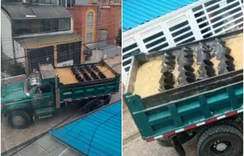 FOTO: Redes sociales