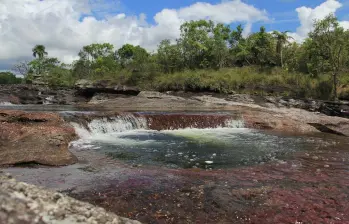 La mejor época para visitar Caño Cristales es entre julio y noviembre, cuando el río alcanza su máximo esplendor y los colores están en su punto más vibrante. FOTO: Colprensa.