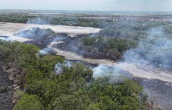El incendio forestal ha consumido un área que es declarada Reserva de la Biosfera por la Unesco. Foto: Gobernación de Magdalena