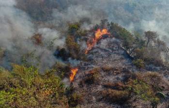  La UNGRD reportó esta semana que van más de 119.000 hectáreas en el país consumidas por las llamas. FOTO: Cortolima.