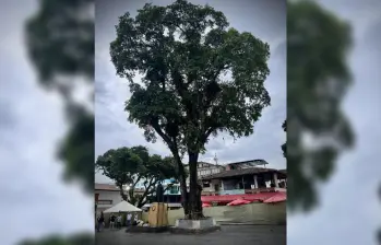 Los habitantes de San Rafael piden que el lugar se mantenga como punto de encuentro. FOTO: CORTESÍA