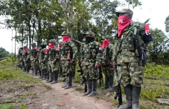 Análisis señalan que grupos como el ELN se expandieron en el último. FOTO: cortesía Flickr