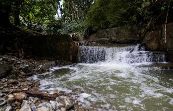 ¿Qué hacemos con la quebrada La Presidenta en El Poblado? La alerta está desde hace 19 años