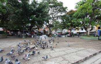 Imagen de referencia del municipio de Segovia. Foto: Jaime Pérez Munévar
