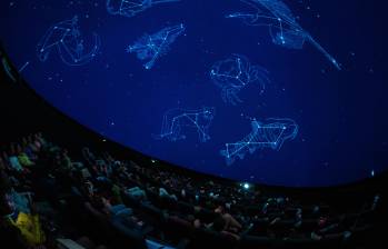 Escenas de Animales celestes, el show inmersivo del Planetario de Medellín que transforma la biodiversidad antioqueña en constelaciones y ahora brilla en un festival de cine internacional. FOTOS cortesía Planetario de Medellín 