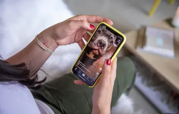 Mientras tanto, en Reino Unido, el ente regulador de medios de comunicación y telecomunicaciones abrió investigación contra TikTok para determinar si ha incumplido sus obligaciones de proteger a los menores de la exposición a contenidos perjudiciales. FOTO El Colombiano. 