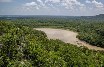  La Procuraduría tomó medidas legales para proteger a la Reserva Forestal de la Amazonía de un proyecto minero. Foto: Juan Antonio Sánchez Ocampo