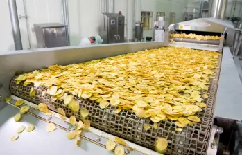 a planta de producción de Turbana genera más de 150 empleos, principalmente mujeres cabeza de familia. FOTOS cortesía Unibán