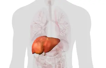 La enfermedad puede desarrollarse durante décadas sin síntomas. FOTO AFP