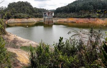 Si el fenómeno de El Niño es más intenso de lo que se proyecta, la inflación de alimentos puede cerrar en dos dígitos en 2023, y no bajar de los 15,66% en los que está actualmente. FOTO Jaime Pérez