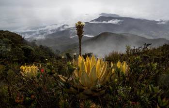 Antioquia empieza a cerrarle el paso al turismo depredador. ¿Se aproximan cierres masivos de paraísos naturales?