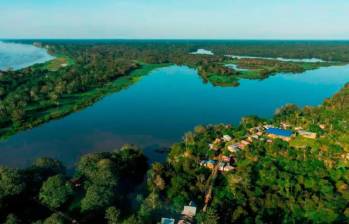 El acuerdo contempla acciones conjuntas para promover alternativas sostenibles como el ecoturismo, los sistemas agroforestales y el aprovechamiento sostenible de productos maderables y no maderables. FOTO: Archivo El Colombiano
