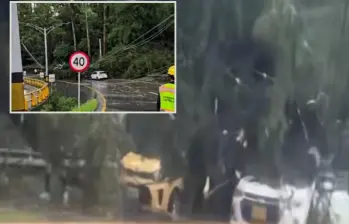 Los árboles cayeron sobre por lo menos cuatro automotores. FOTO: imagen tomada de redes.