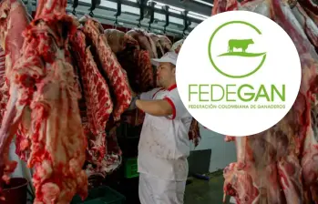 Para Fedegán, el Gobierno ha identificado erróneamente la causa del encarecimiento de la carne en el país, por lo que no están de acuerdo con suspender las exportaciones de ganado. FOTO: Manuel Saldarriaga y Fedegan