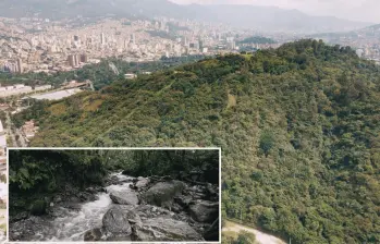 Imagen de referencia de la biodiversidad de la ciudad de Medellín. FOTO: Cortesía.