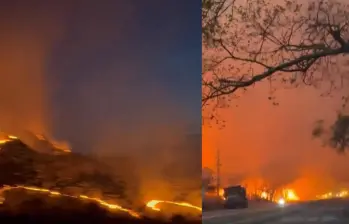 24 incendios forestales afectaron al Tolima y consumieron bosques y cultivos. Las autoridades ya han controlado la mitad de ellos. Foto: captura de video redes sociales @willj84753699