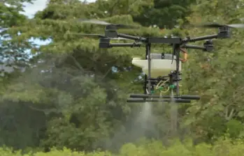 Este plan piloto cuenta con el aval del Programa de Erradicación de Cultivos Ilícitos mediante Aspersión Terrestre (Pecat) y espera las autorizaciones finales de la Autoridad Nacional de Licencias Ambientales (Anla). FOTO: Ministerio de Defensa