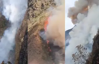 Bomberos llevan 10 días combatiendo incendio forestal en Buga pero los focos vuelven a encenderse. Foto: Captura de video X @JUANCAELBROKY