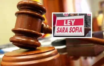 Según la Corte Constitucional, esta ley estatutaria crea y reglamenta la Alerta Colombia Ley Sara Sofía para ampliar la protección a todos los menores de 18 años. FOTO: Colprensa