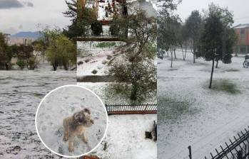 Granizo cubrió de blanco varias calles de Bogotá y dejó impresionantes imágenes. Foto: tomada de redes sociales