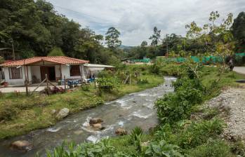 Las quebradas que hoy abastecen a gran parte de la zona rural del sur del Valle de Aburrá podrían quedarse cortas en un horizonte de 15 años. FOTO El Colombiano