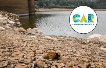 Los anuncios se dan tras el conocimiento de la posibilidad de que el fenómeno de El Niño llegue “fuerte” o “muy fuerte”. Foto: Colprensa/CAR