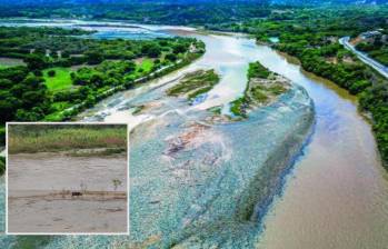 Adelante, una vaca pastando en la mitad del río Cauca en su paso por La Pintada. Atrás, el mismo río cruzando con un “hilo” de agua el Occidente de Antioquia. FOTO: Manuel Saldarriaga