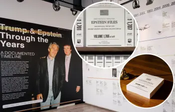 Biblioteca temporal en Nueva York donde se exhiben archivos del caso Epstein. Foto: redes sociales