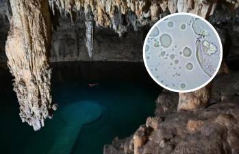 Seis de nueve lagos recreativos examinados dieron positivo a la mortal ameba Naegleria fowleri. El gobierno pide calma mientras investiga a las empresas responsables del mantenimiento del agua. FOTO: AFP y Getty