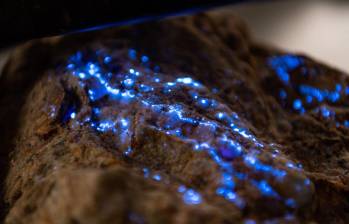 Una exploración en búsqueda de cobre y otros metales terminó con el hallazgo de tungsteno. Foto: AFP
