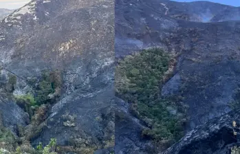 Tras una labor de las autoridades y un trabajo conjunto con campesinos de la zona se controló un incendio forestal en Ábrego, Norte de Santander. Foto: tomadas de X @laopinion_col