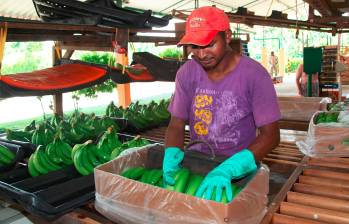 FOTO FUNDACIÓN JULIO C. HERNÁNDEZ