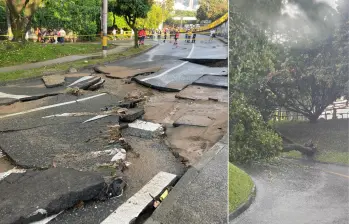 Álbol caido en Medellín. Foto: Juan Antonio Sánchez, EL COLOMBIANO - cortesía